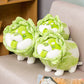 Shiba Inu Cabbage Plushie (multiple options available)